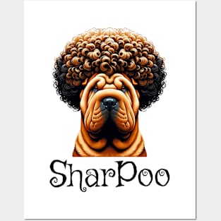 When you have a Sharpei crossed with a fancy Poodle, you get a Sharpoo Posters and Art